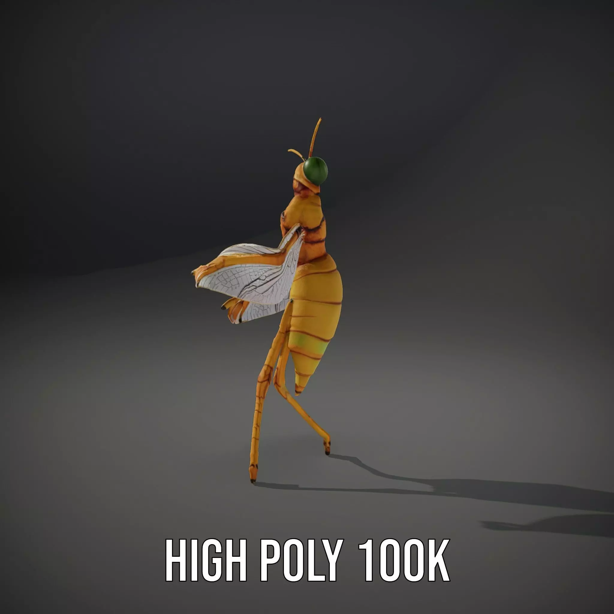 Golden Wasp model pack Low-poly 3D model_10