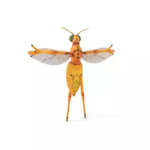 Golden Wasp model pack Low-poly 3D model