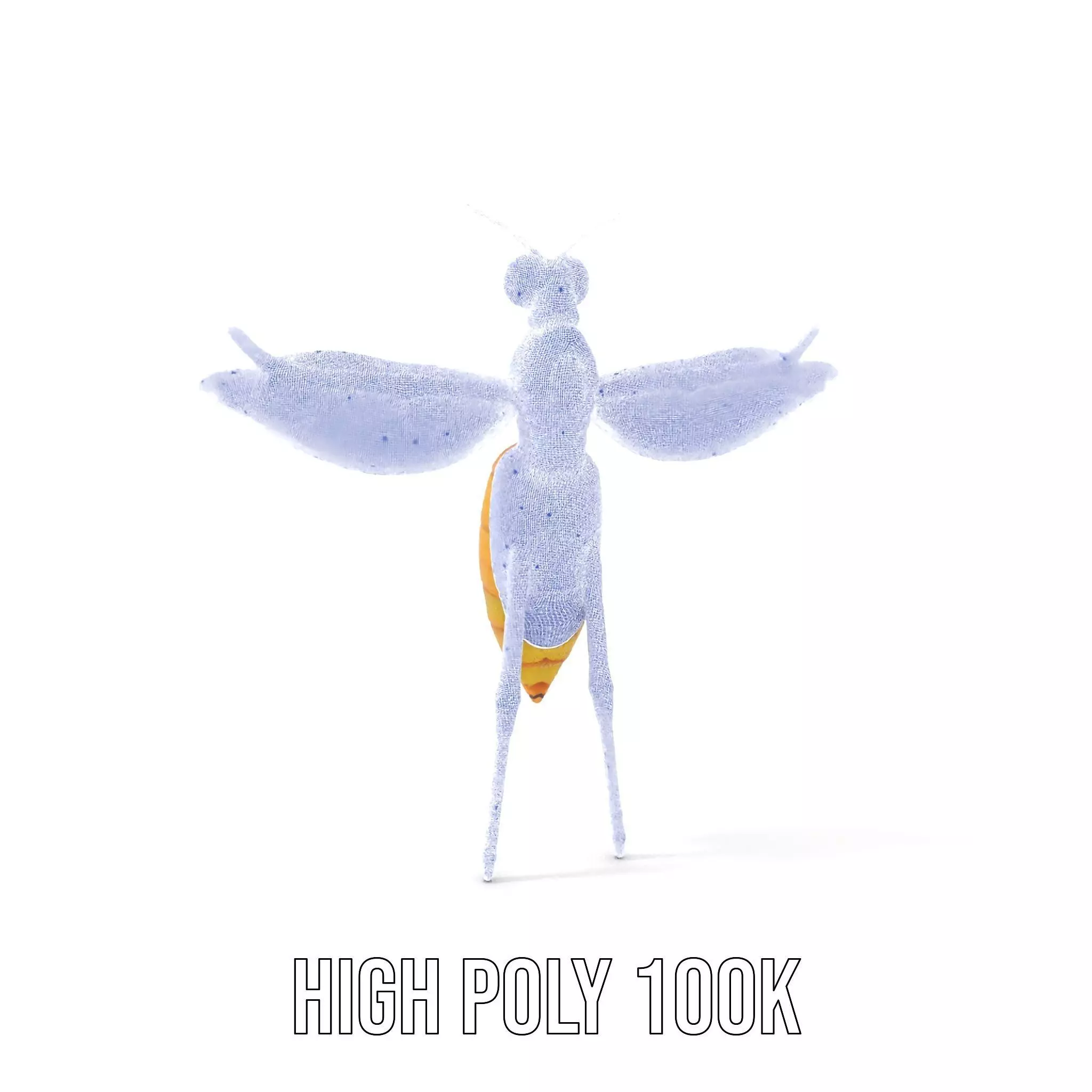 Golden Wasp model pack Low-poly 3D model_4