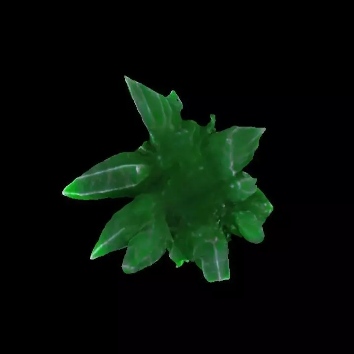 Green Grass element Crystal Gem Low-poly 3D model_19