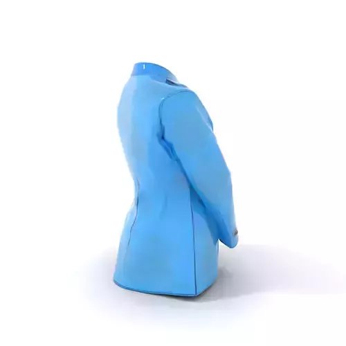 Elegant Brocade Jacket model pack Low-poly 3D model