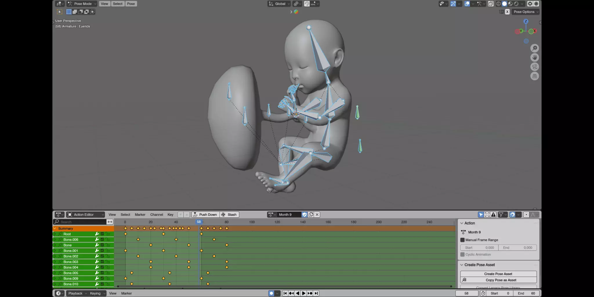 Fetal Development Low-poly 3D model_19