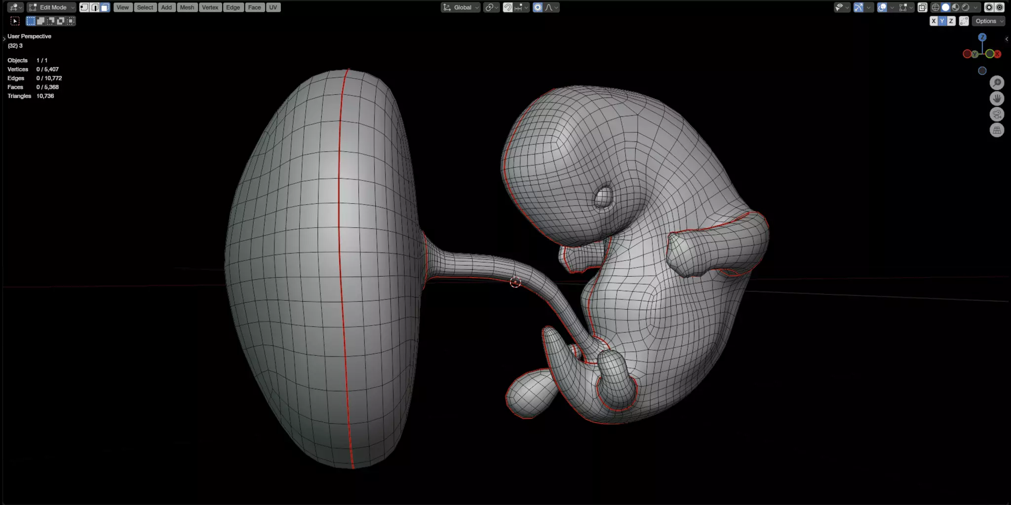 Fetal Development Low-poly 3D model_3
