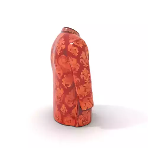 Royal Brocade Jacket model pack