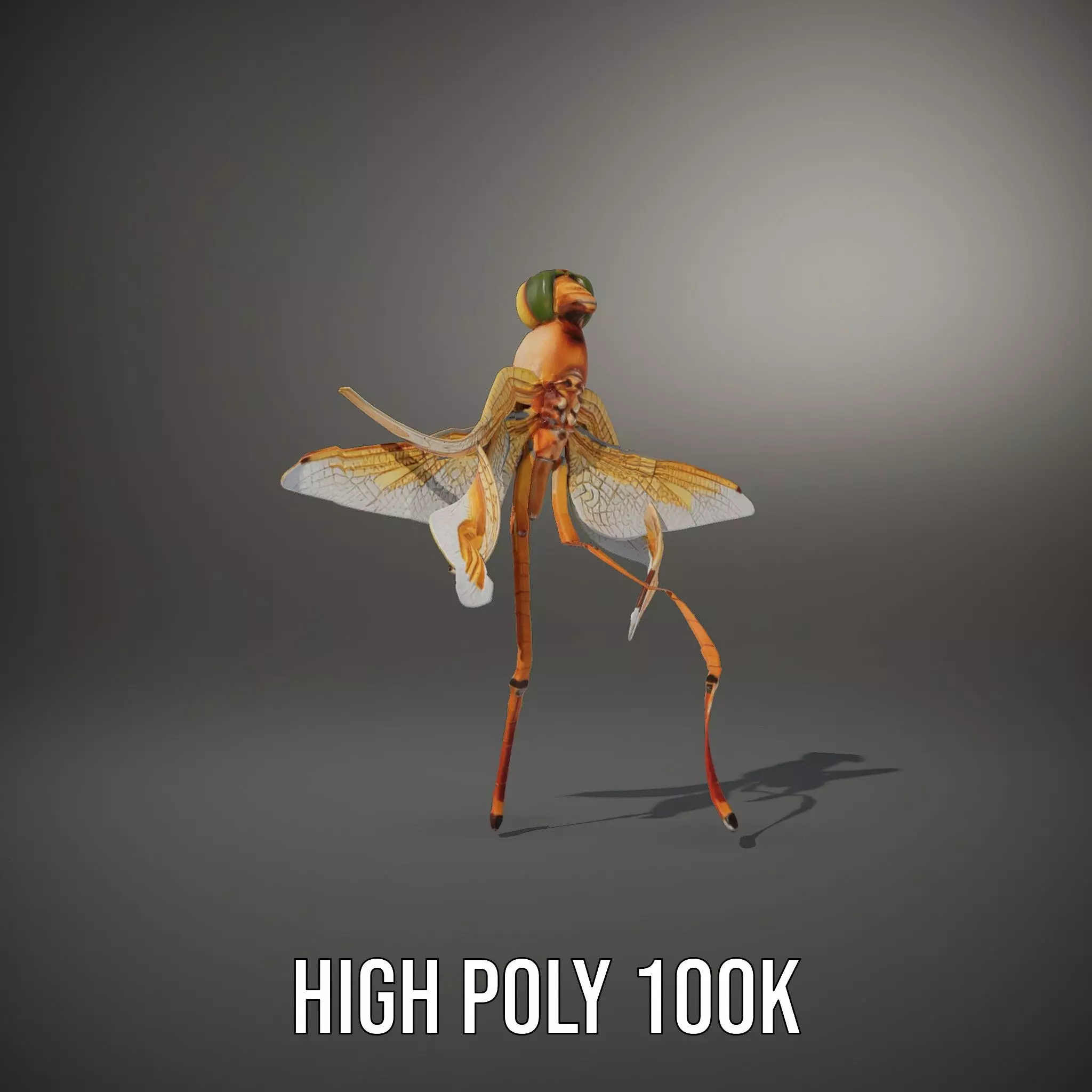Golden Dragonfly model pack Low-poly 3D model_10