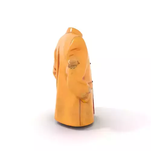 Golden Embroidered Jacket model pack