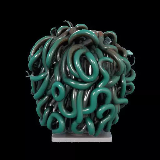 2235  Medusa Gorgon Head 3D Model  magic 3D print model_13