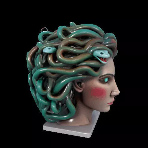 2235  Medusa Gorgon Head 3D Model  magic 3D print model_32