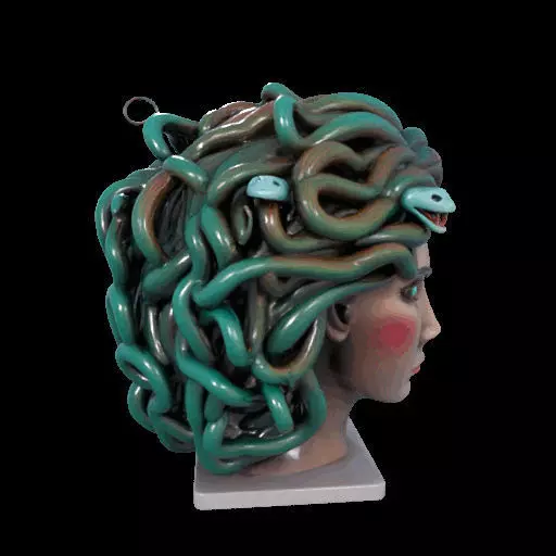 2235  Medusa Gorgon Head 3D Model  magic 3D print model_34