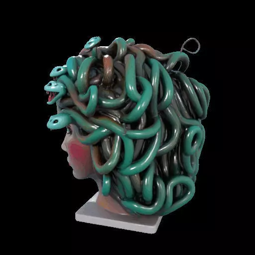 2235  Medusa Gorgon Head 3D Model  magic 3D print model_20