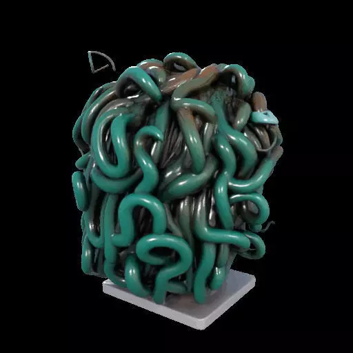2235  Medusa Gorgon Head 3D Model  magic 3D print model_10
