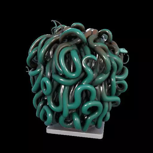 2235  Medusa Gorgon Head 3D Model  magic 3D print model_12