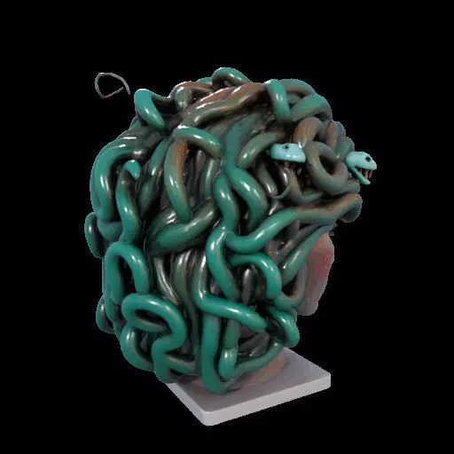 2235  Medusa Gorgon Head 3D Model  magic 3D print model_8
