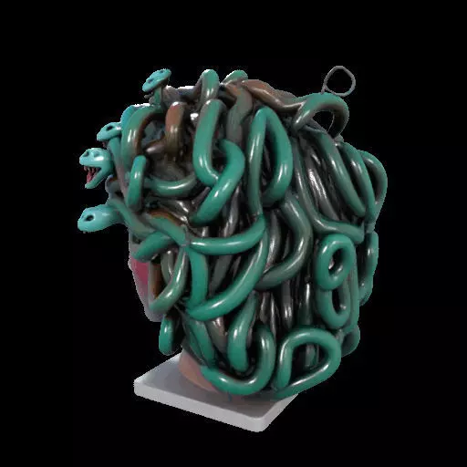 2235  Medusa Gorgon Head 3D Model  magic 3D print model_19