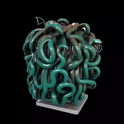2235  Medusa Gorgon Head 3D Model  magic 3D print model_11