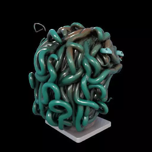 2235  Medusa Gorgon Head 3D Model  magic 3D print model_9