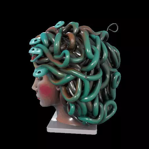 2235  Medusa Gorgon Head 3D Model  magic 3D print model_21