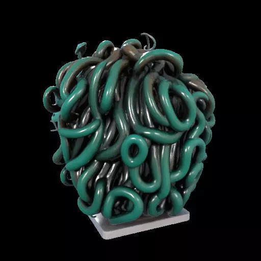 2235  Medusa Gorgon Head 3D Model  magic 3D print model_15