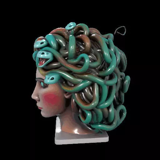 2235  Medusa Gorgon Head 3D Model  magic 3D print model_22