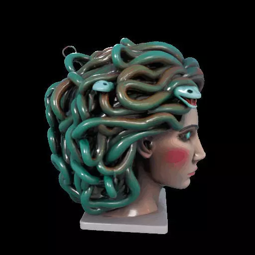 2235  Medusa Gorgon Head 3D Model  magic 3D print model_33