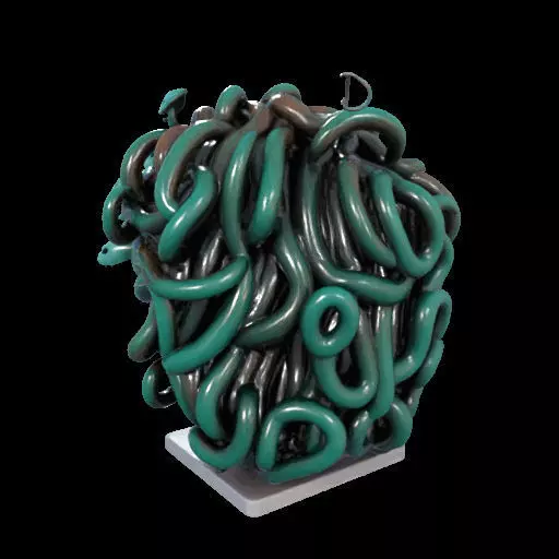 2235  Medusa Gorgon Head 3D Model  magic 3D print model_16