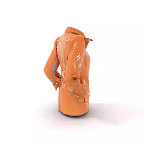 Embroidered Tan Jacket model pack