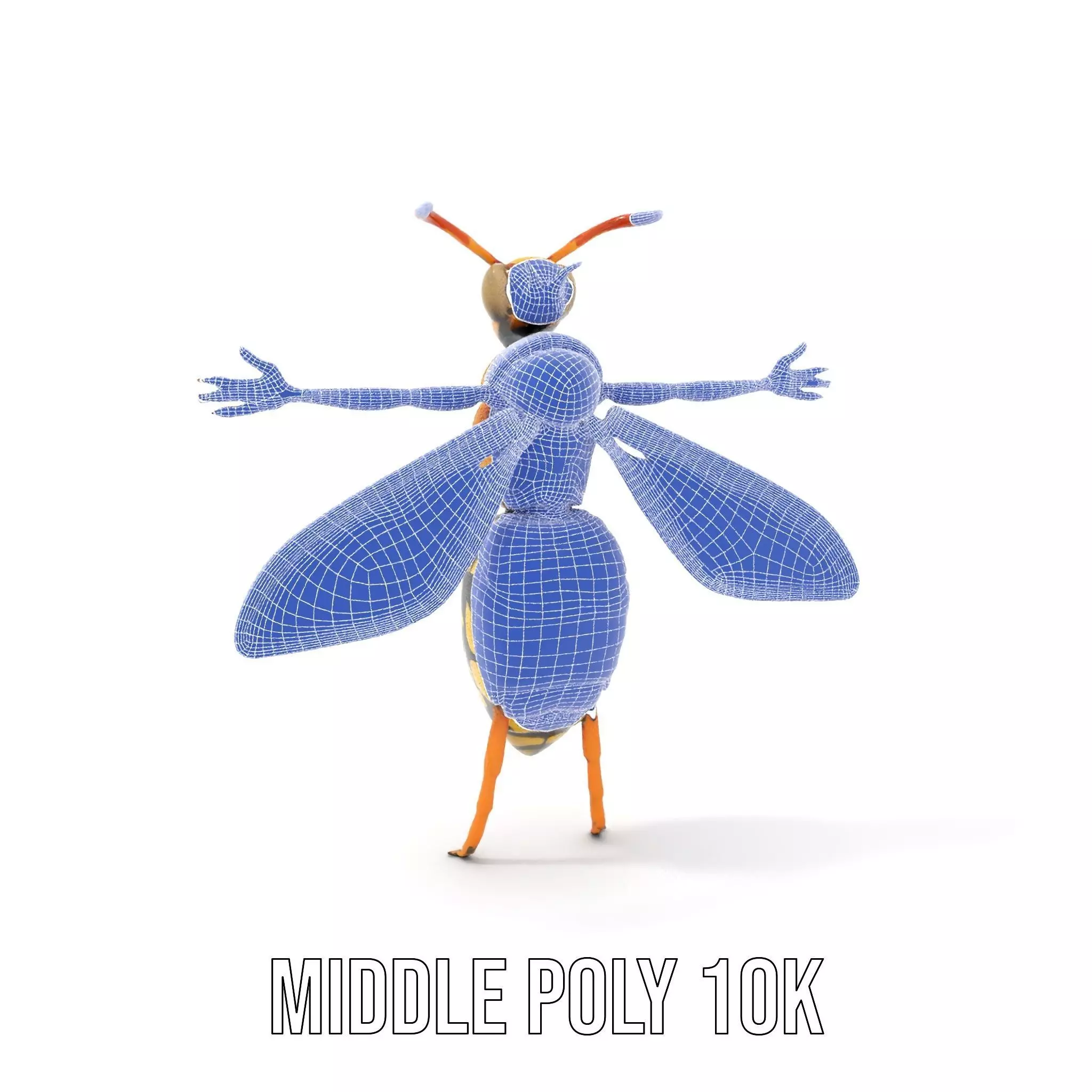 Vivid Wasp Insect model pack Low-poly 3D model_15