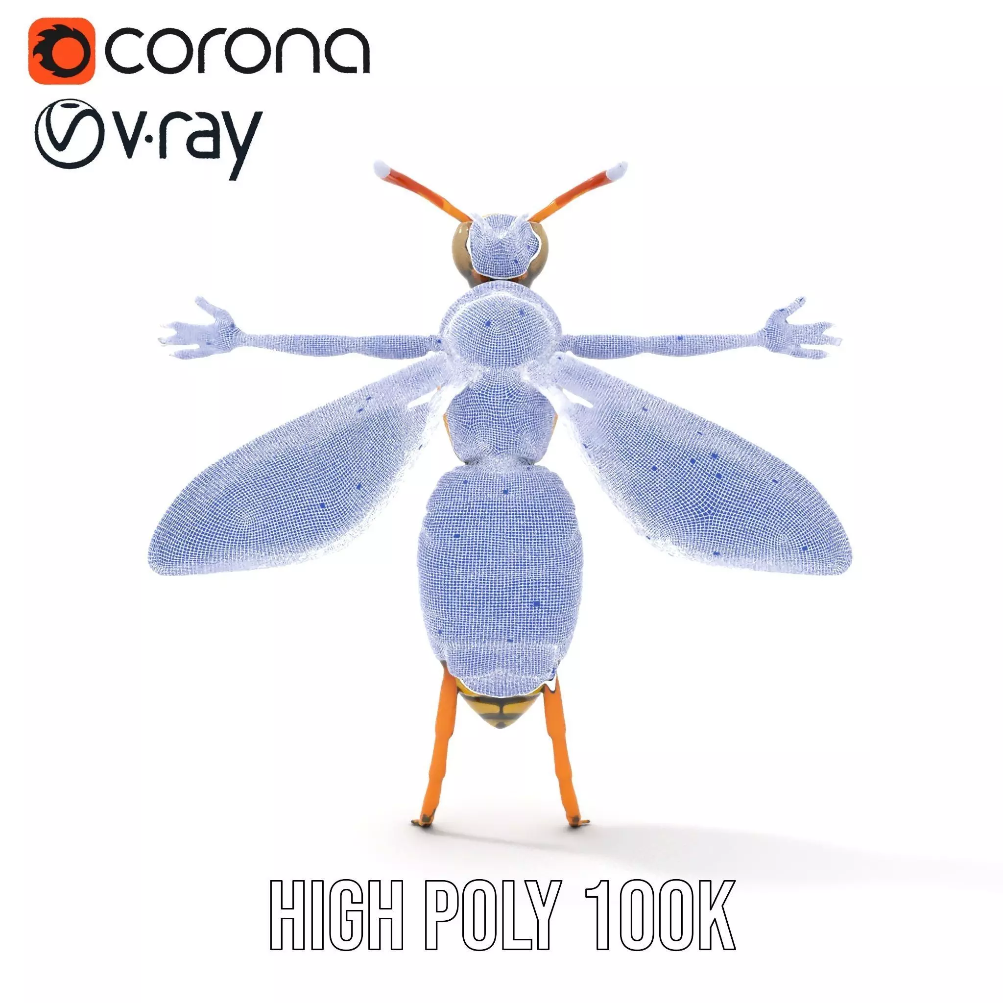 Vivid Wasp Insect model pack Low-poly 3D model_34