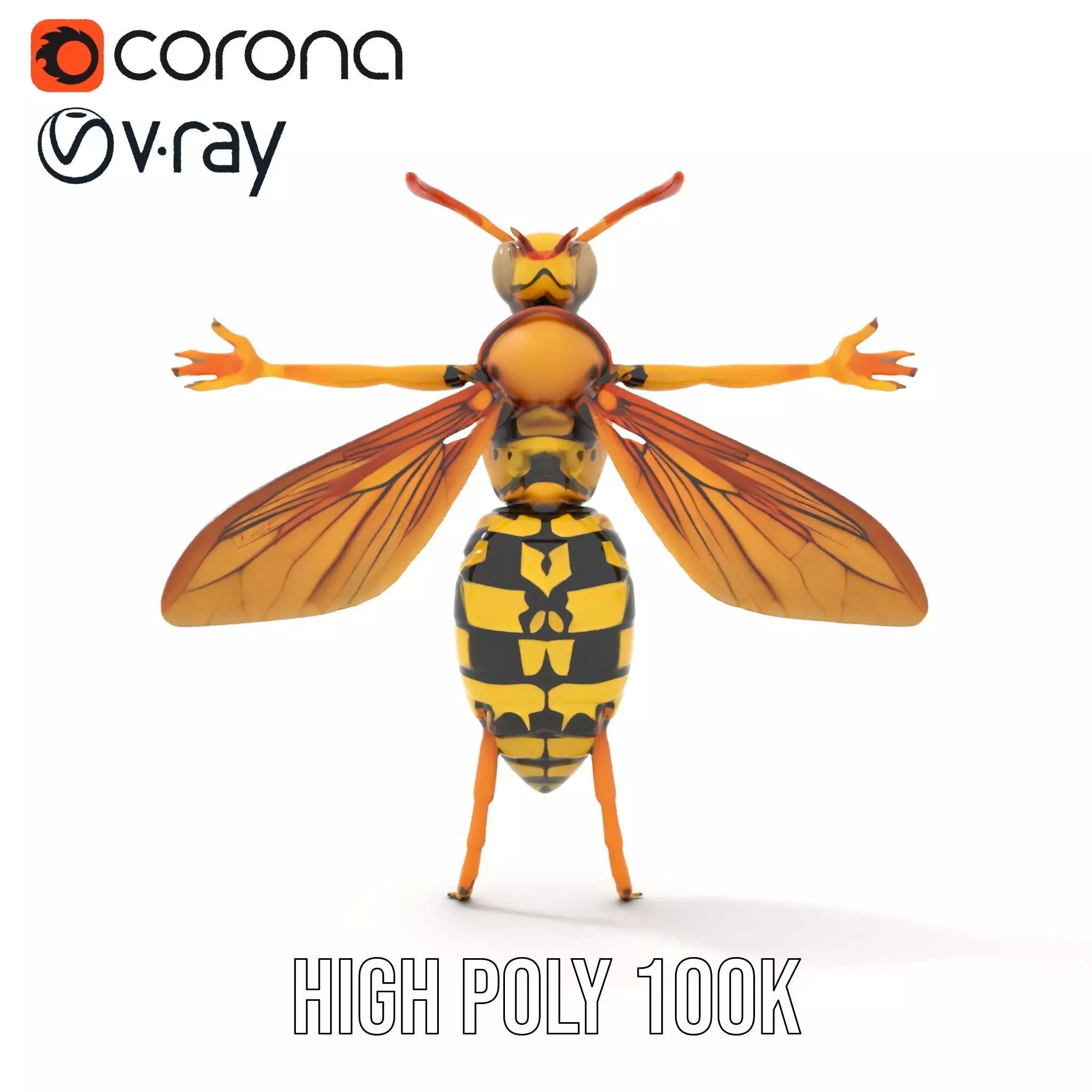 Vivid Wasp Insect model pack Low-poly 3D model_20