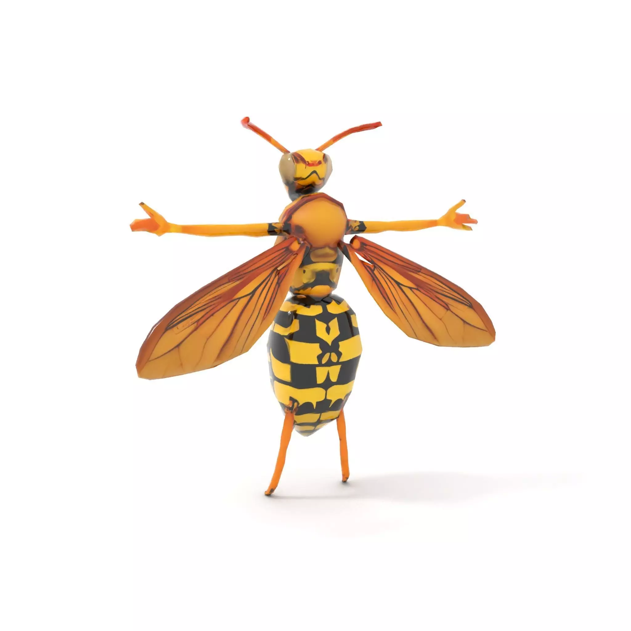 Vivid Wasp Insect model pack Low-poly 3D model_22