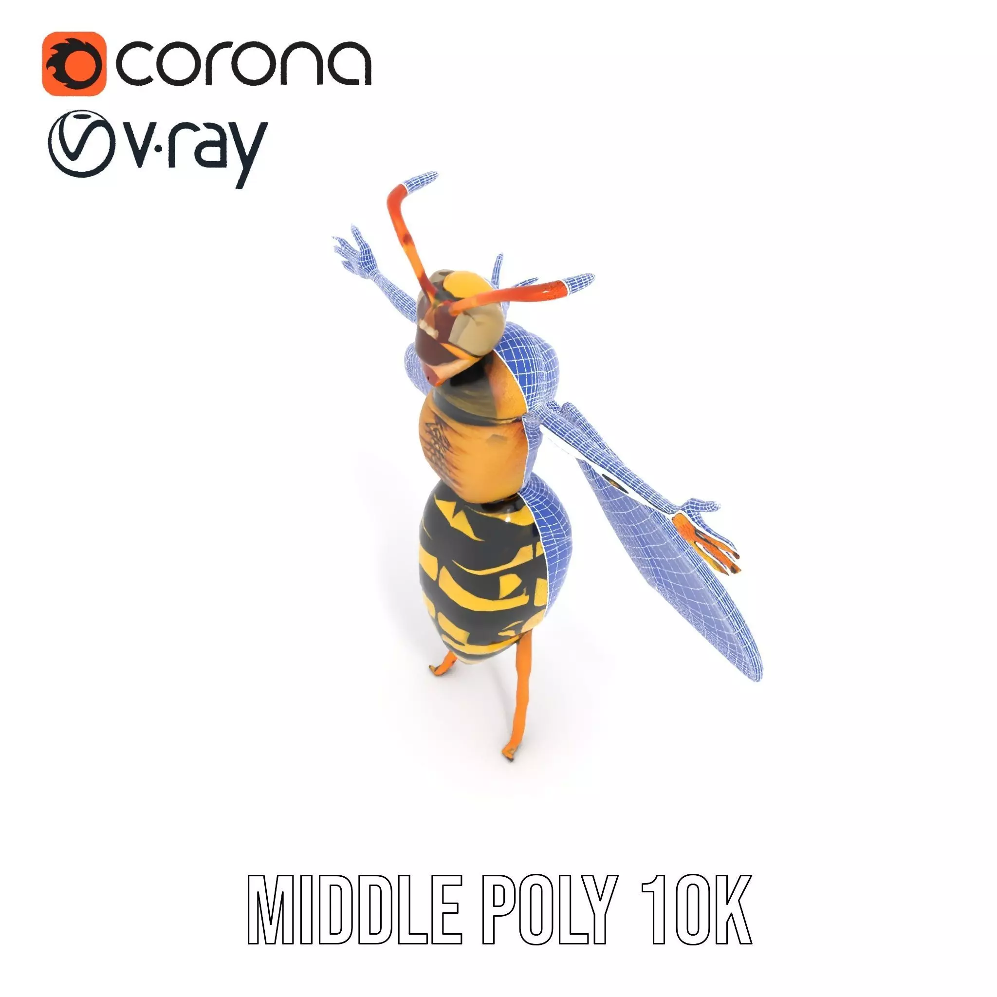 Vivid Wasp Insect model pack Low-poly 3D model_27