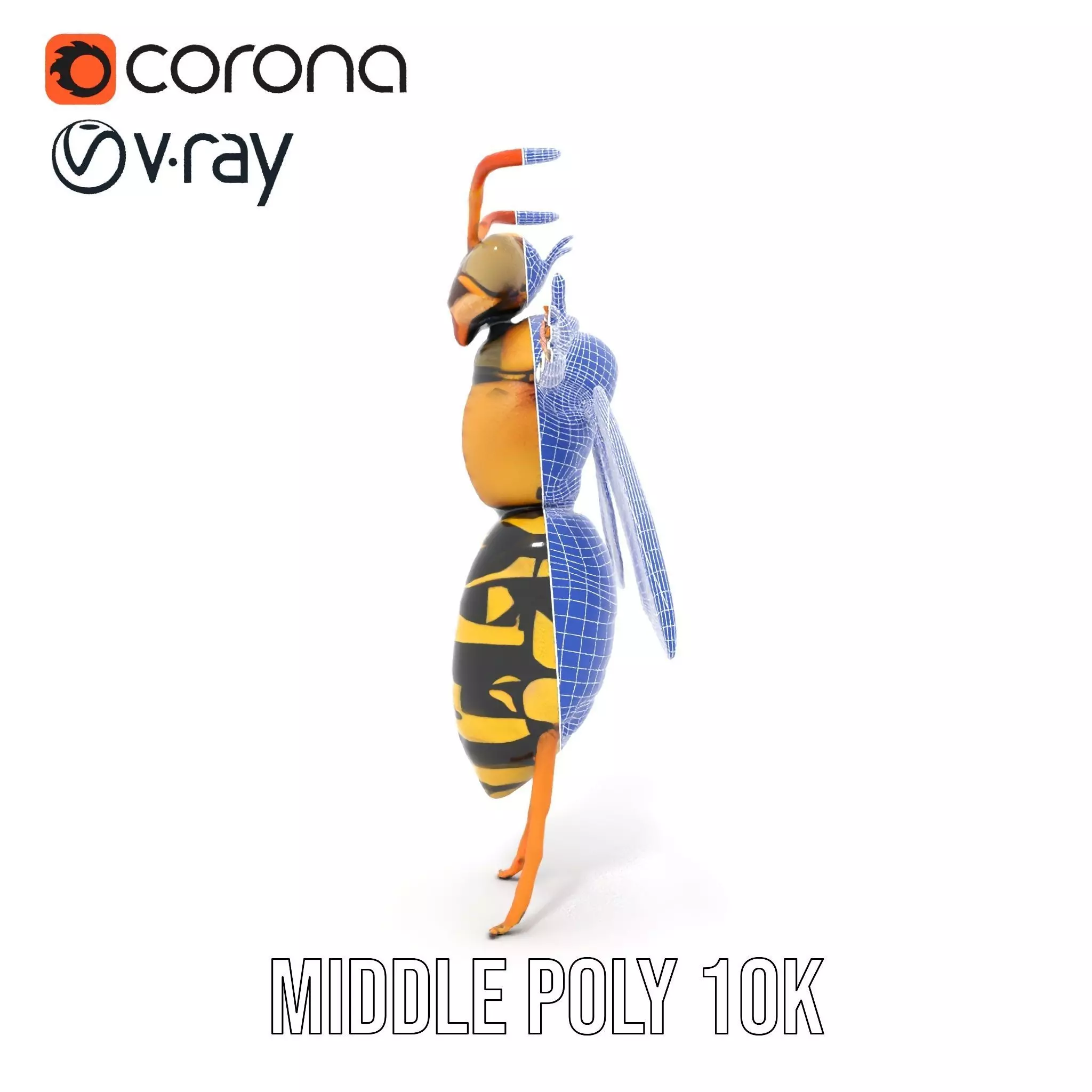 Vivid Wasp Insect model pack Low-poly 3D model_29
