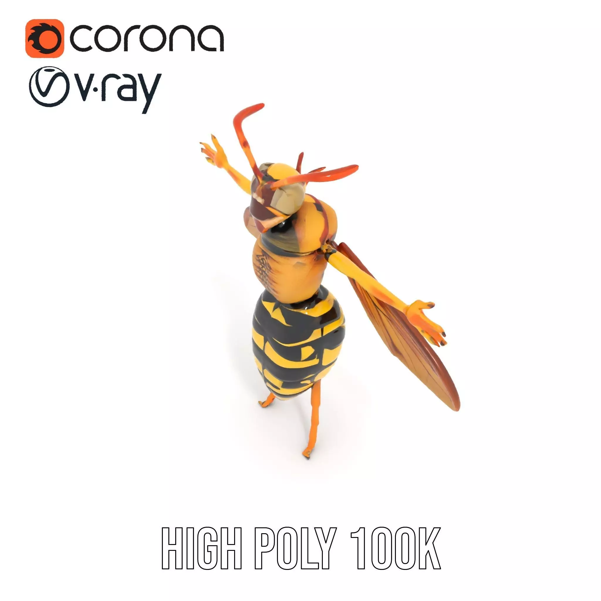 Vivid Wasp Insect model pack Low-poly 3D model_32