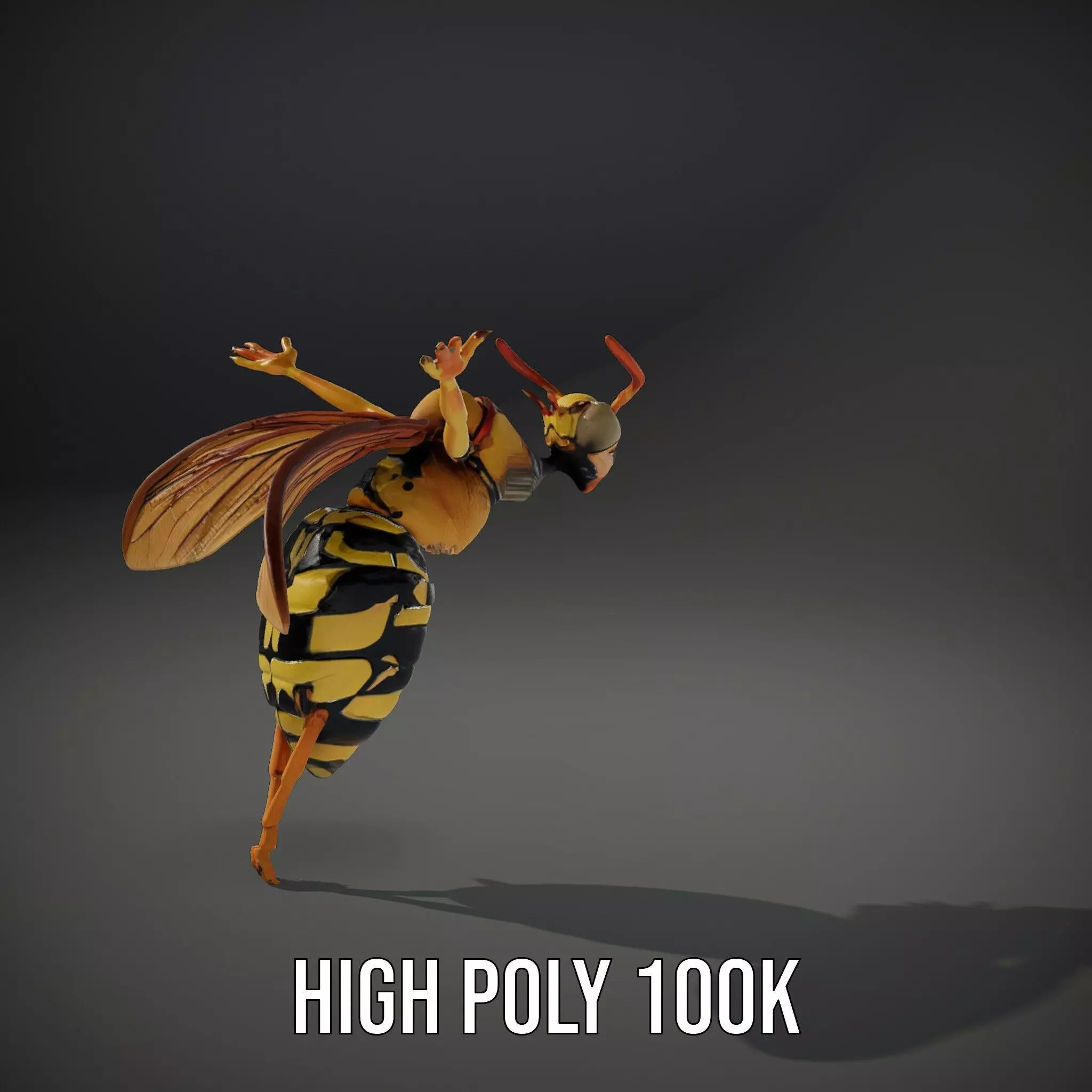 Vivid Wasp Insect model pack Low-poly 3D model_8