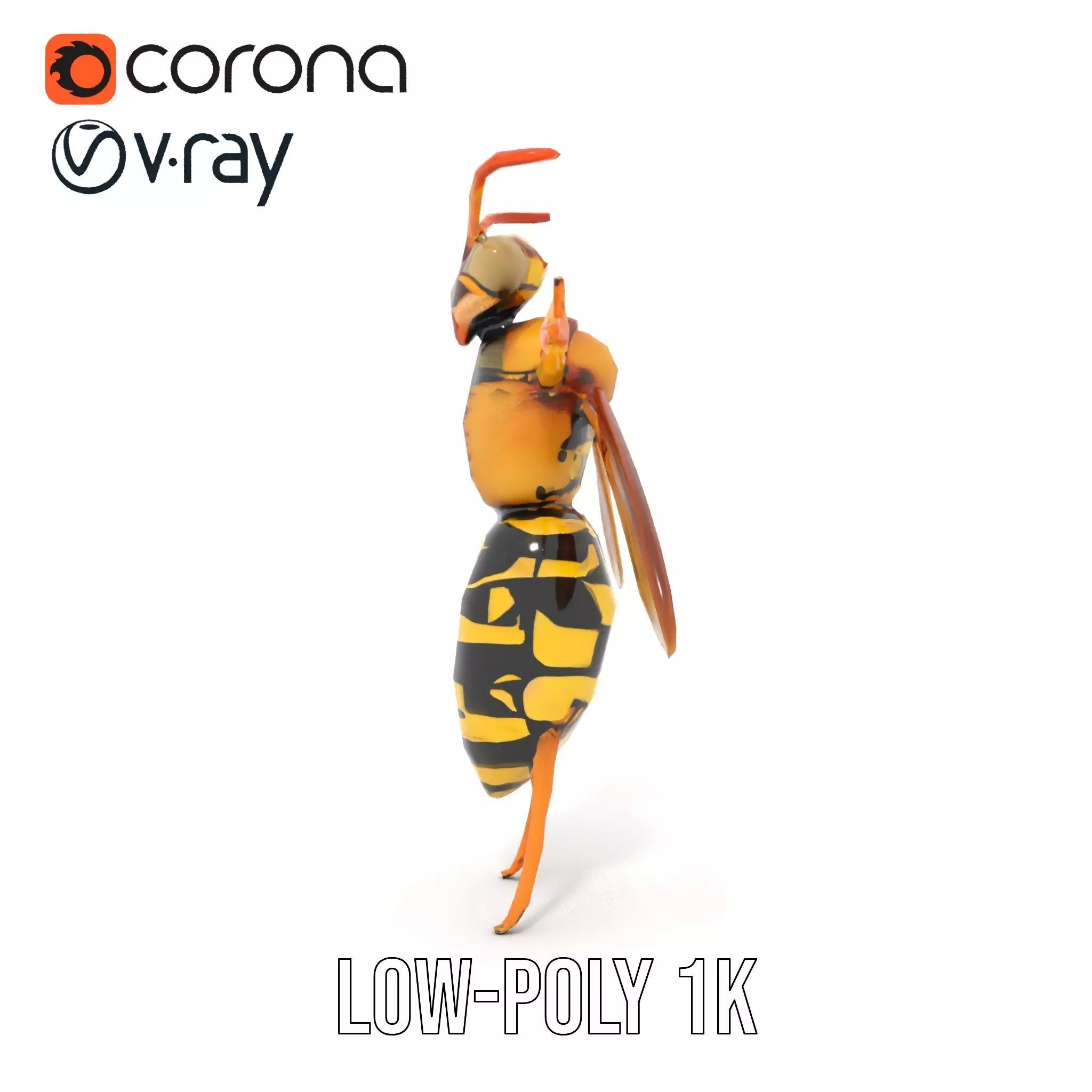 Vivid Wasp Insect model pack Low-poly 3D model_9