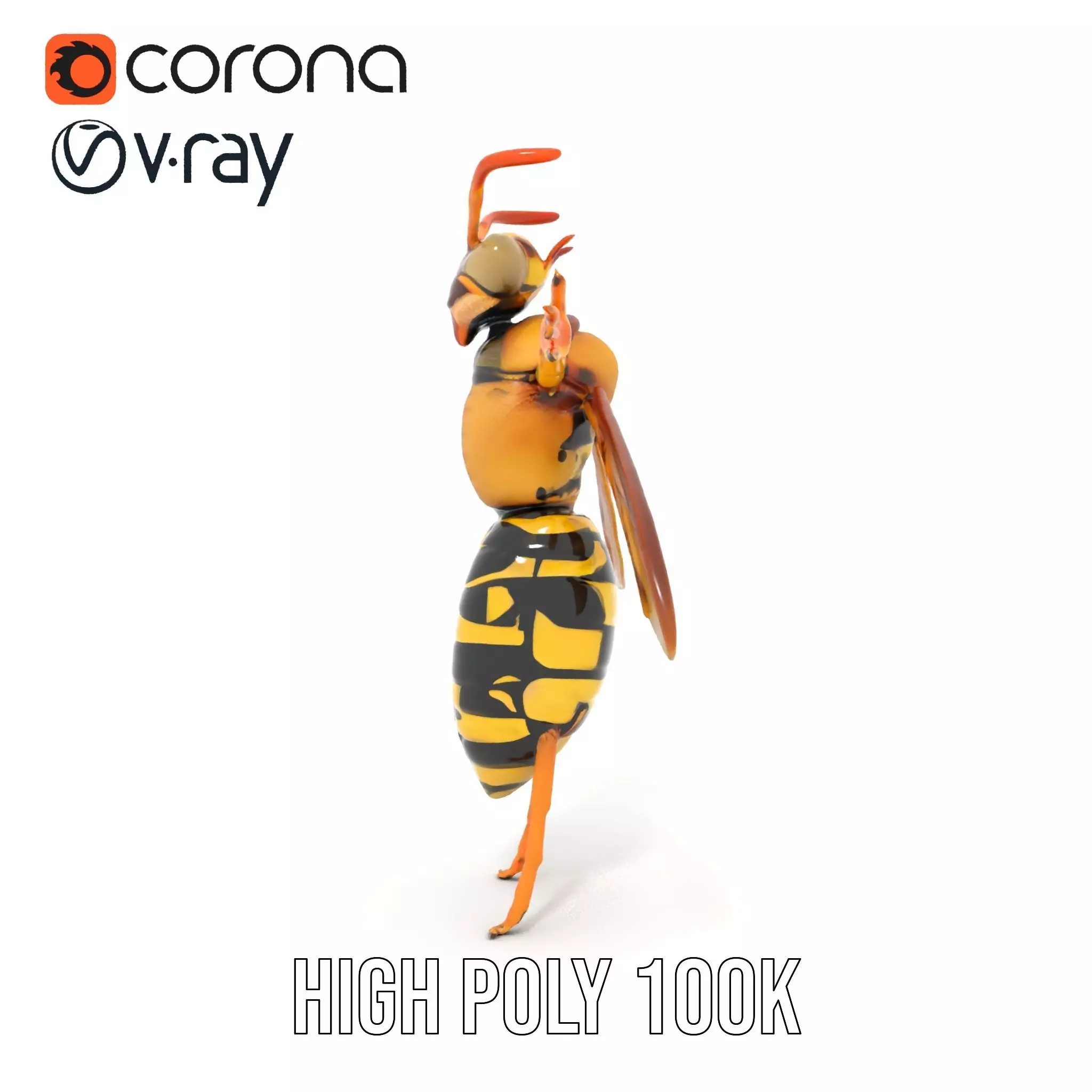 Vivid Wasp Insect model pack Low-poly 3D model_33
