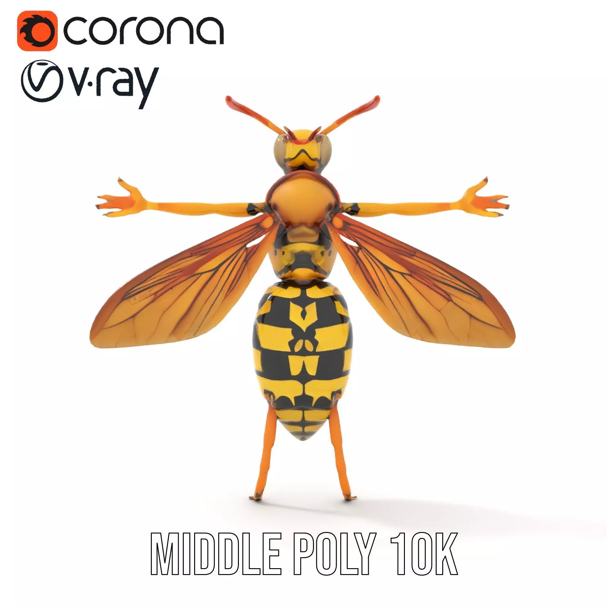 Vivid Wasp Insect model pack Low-poly 3D model_6