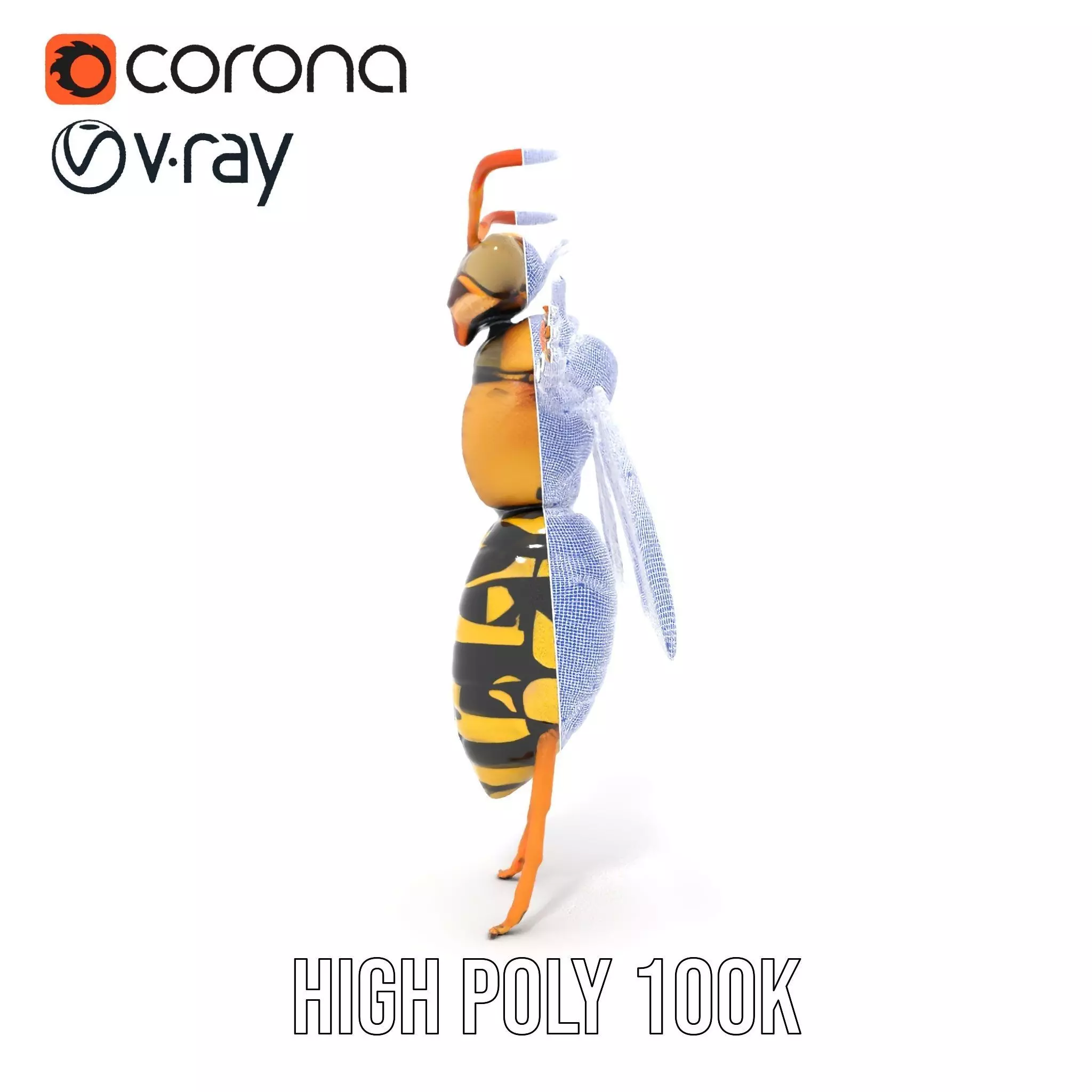 Vivid Wasp Insect model pack Low-poly 3D model_31