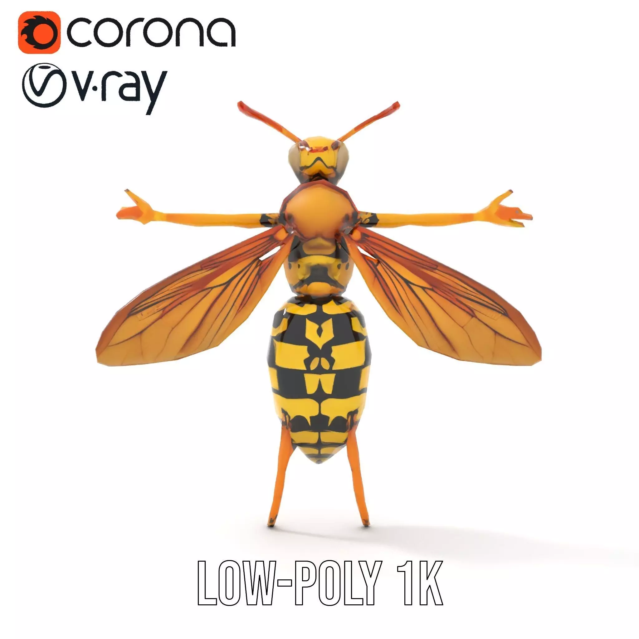 Vivid Wasp Insect model pack Low-poly 3D model_19