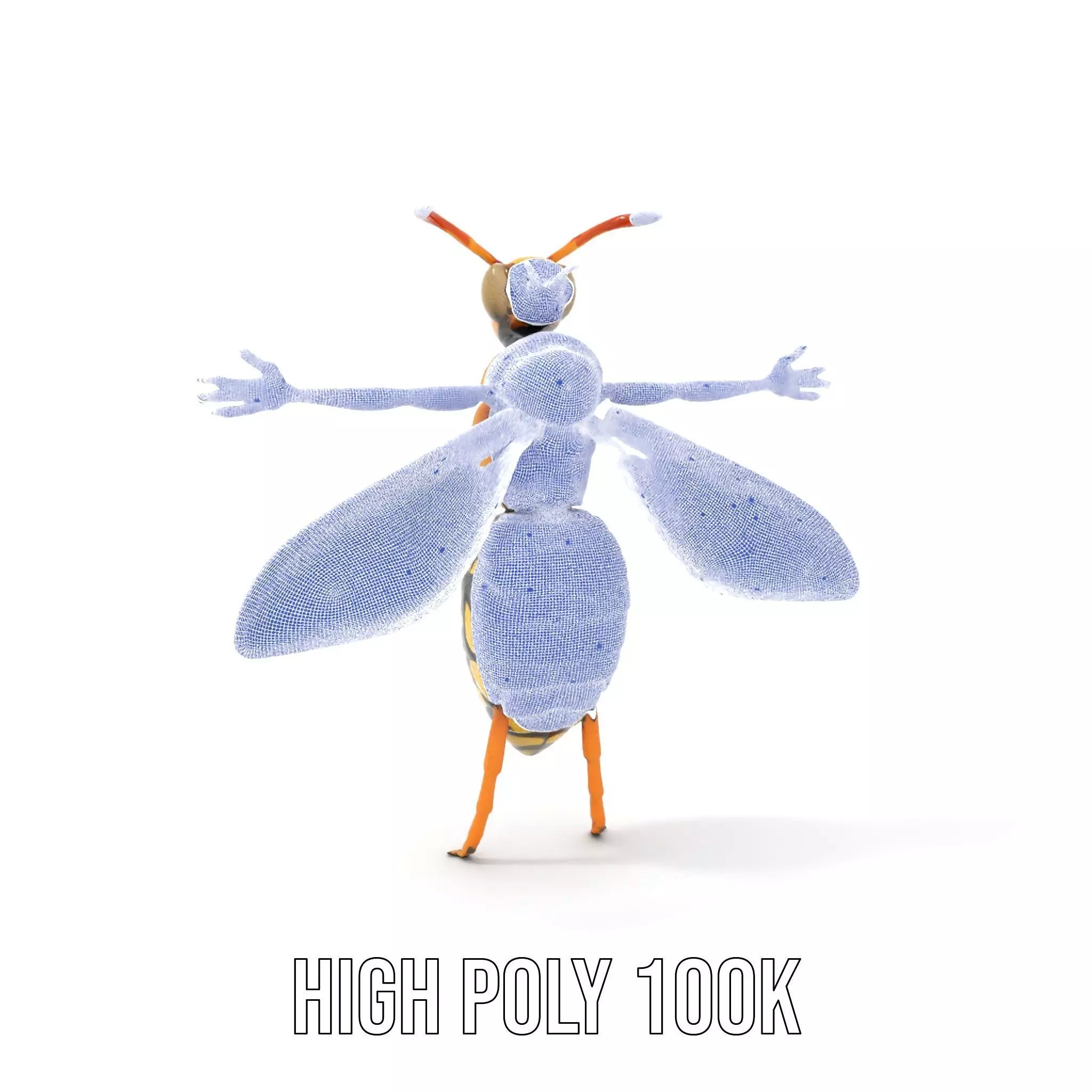 Vivid Wasp Insect model pack Low-poly 3D model_4