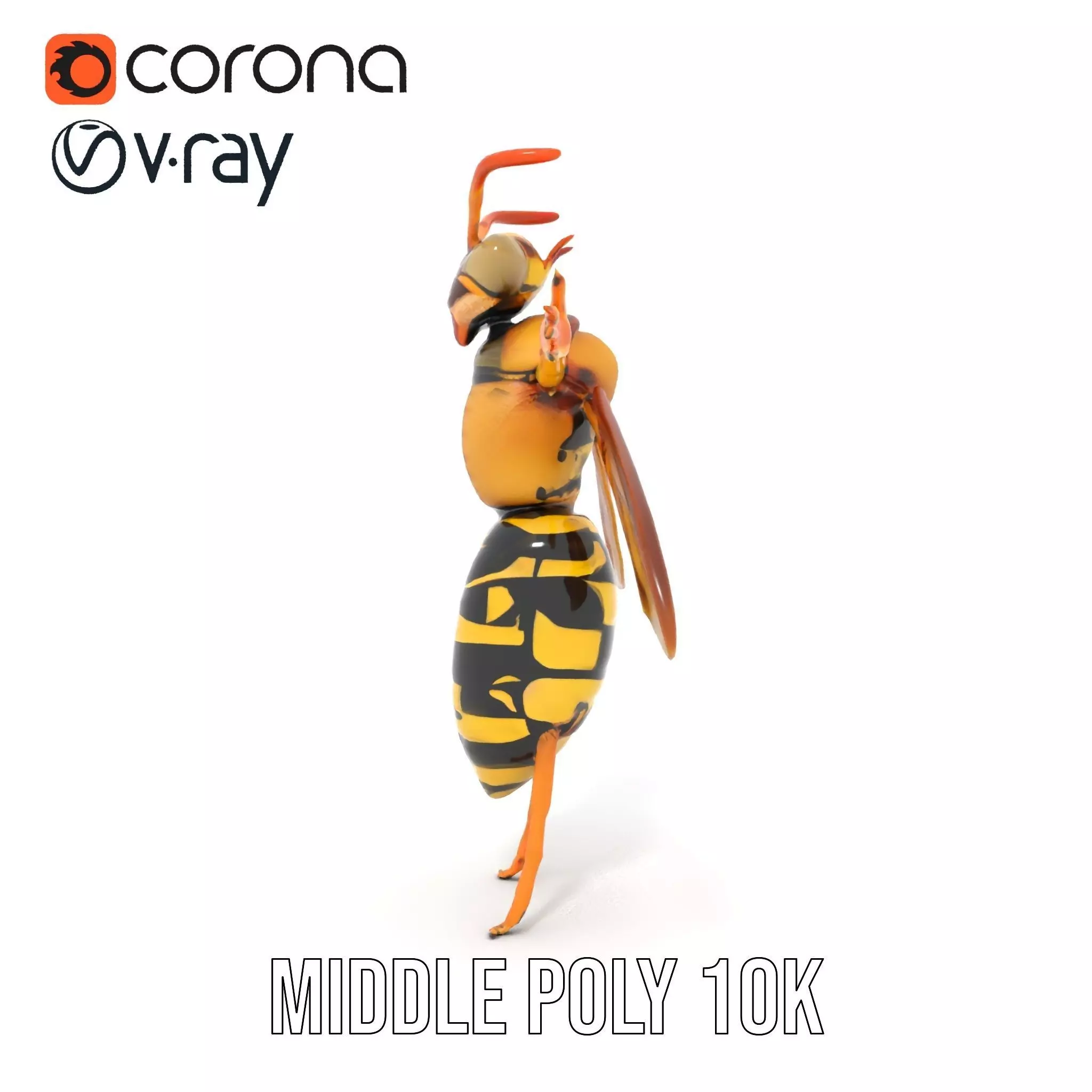 Vivid Wasp Insect model pack Low-poly 3D model_13