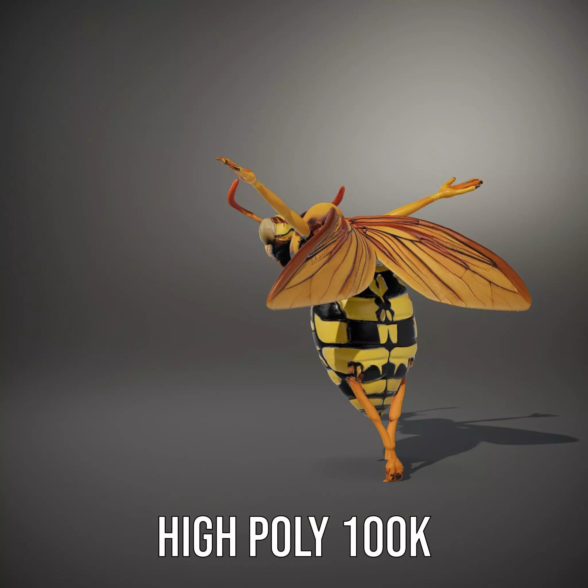 Vivid Wasp Insect model pack Low-poly 3D model_10