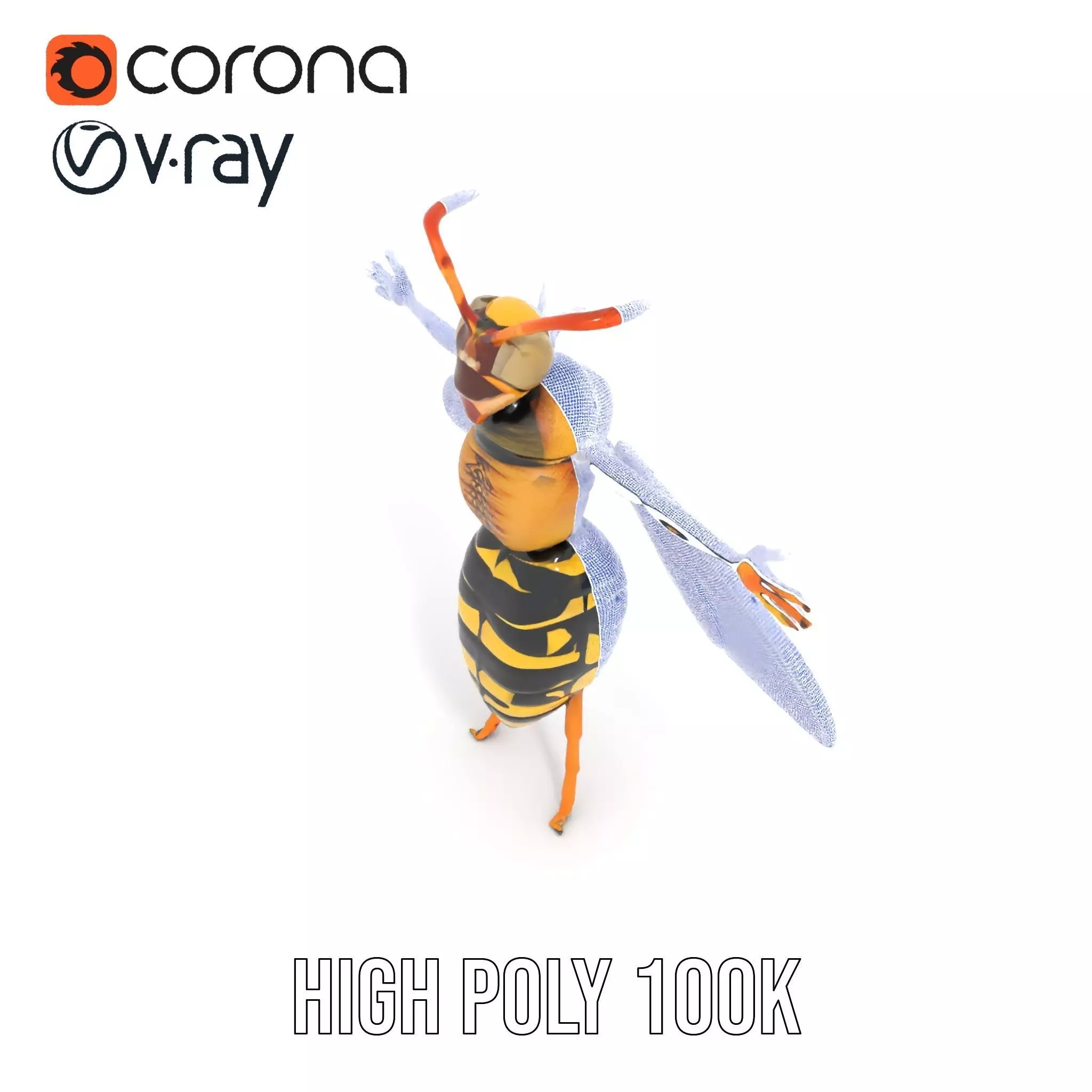 Vivid Wasp Insect model pack Low-poly 3D model_17