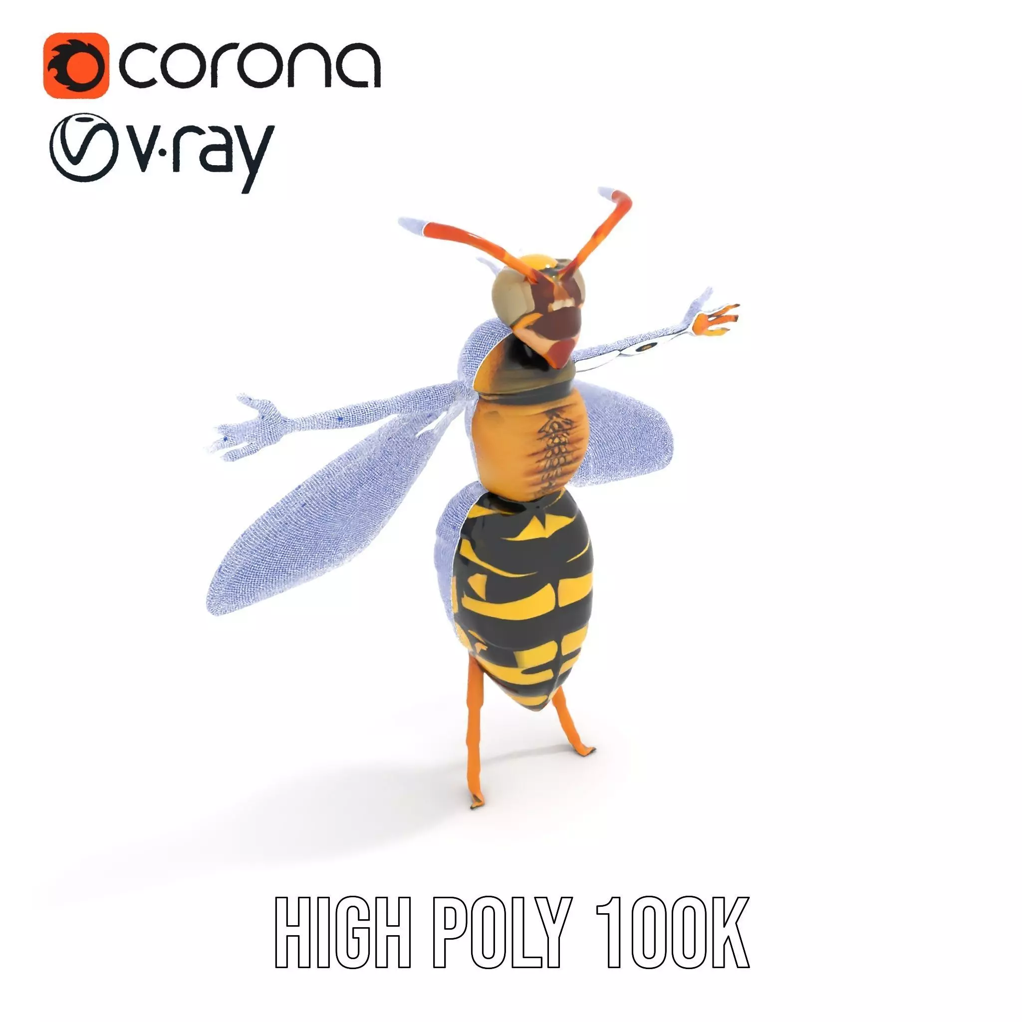 Vivid Wasp Insect model pack Low-poly 3D model_26