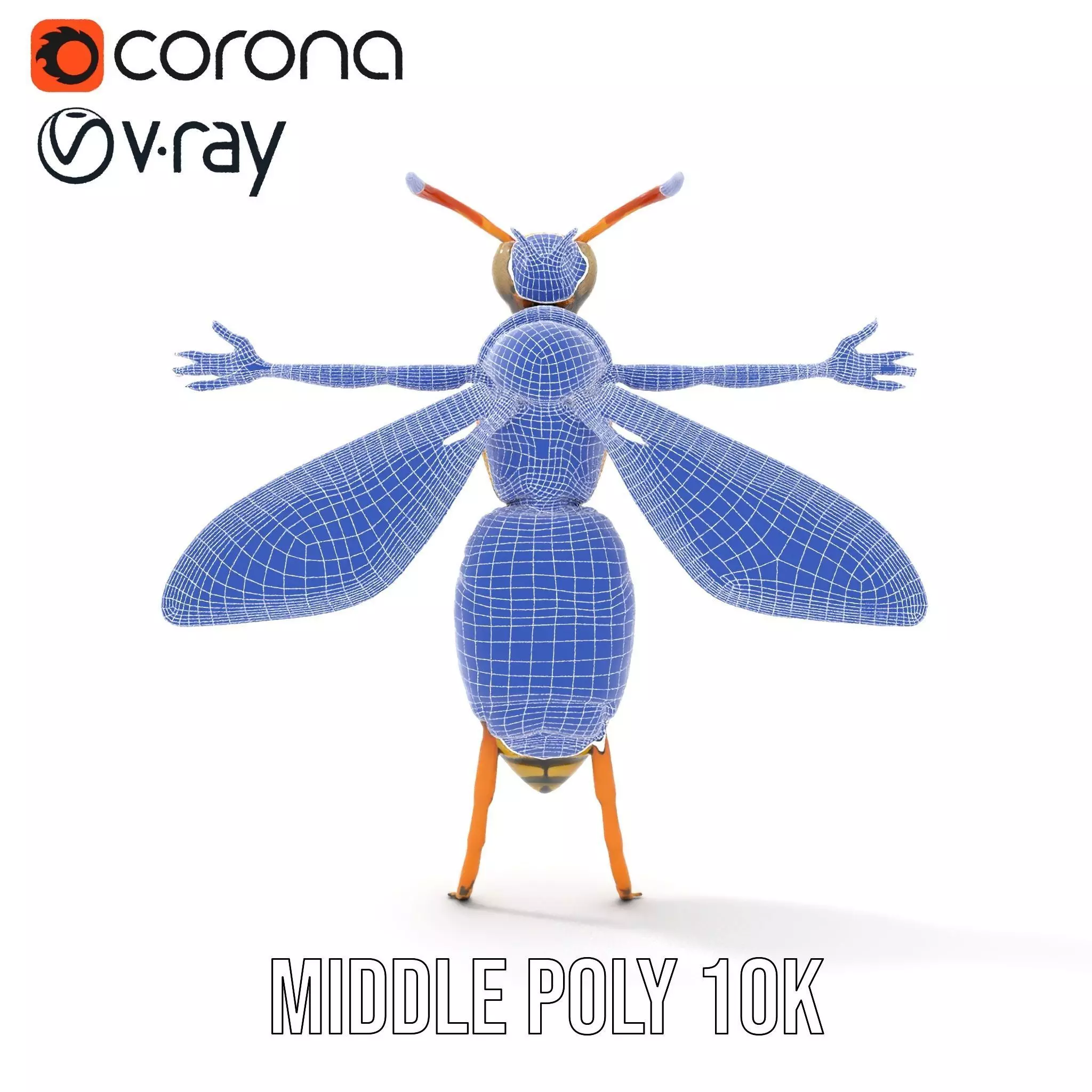 Vivid Wasp Insect model pack Low-poly 3D model_24