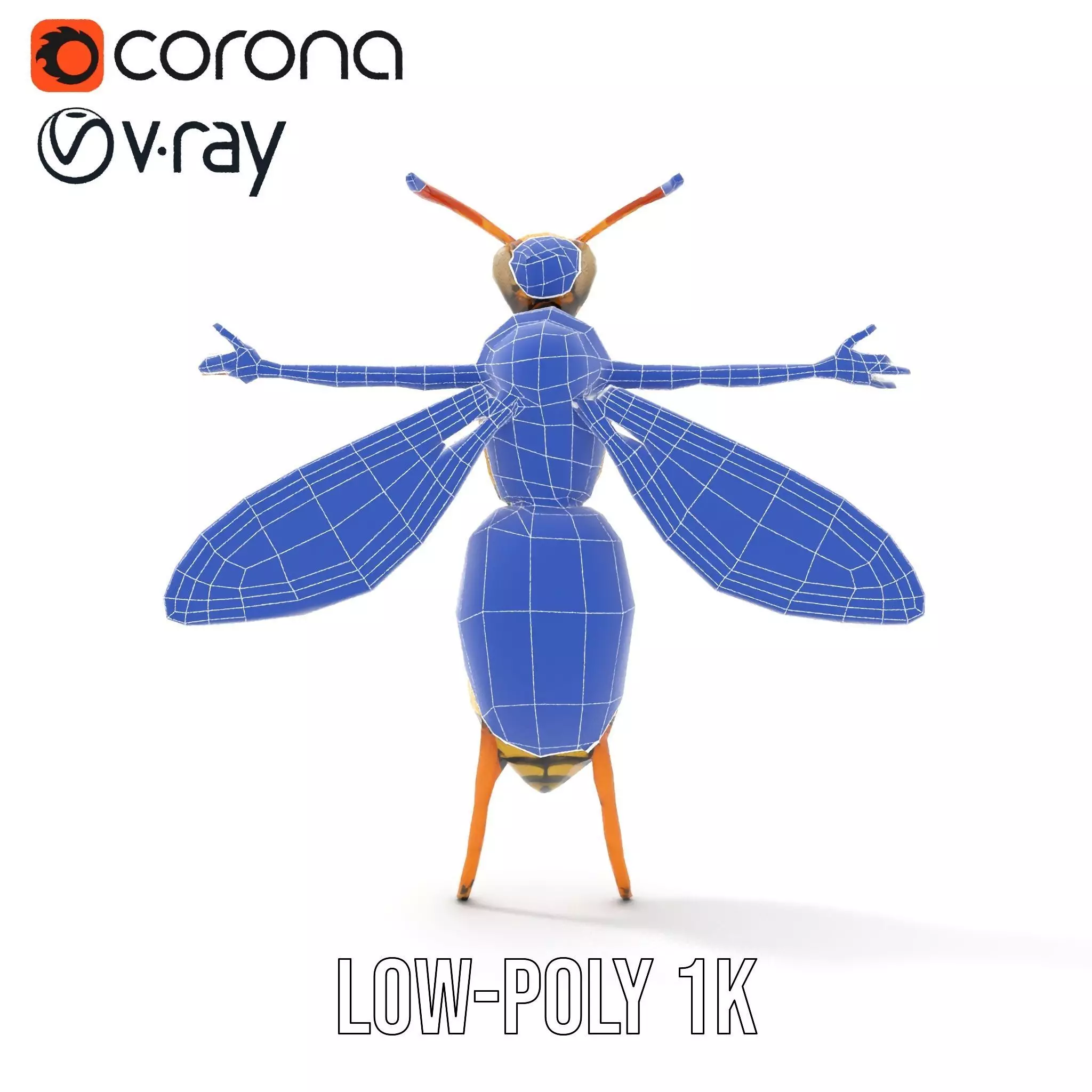 Vivid Wasp Insect model pack Low-poly 3D model_30