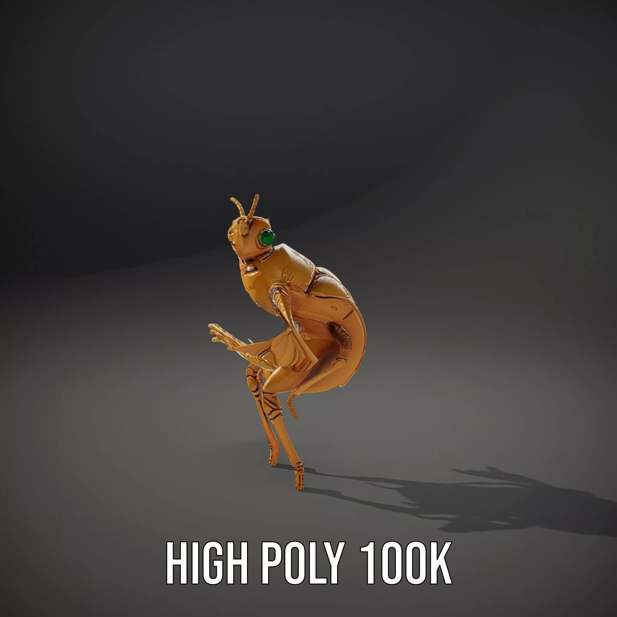 Golden Beetle Fantasy model pack Low-poly 3D model_10