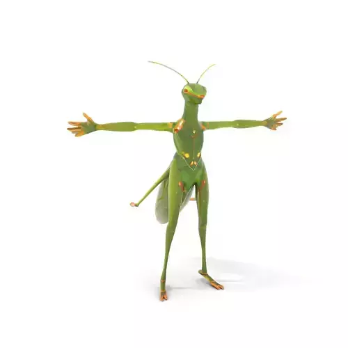 Vibrant Praying Mantis model pack