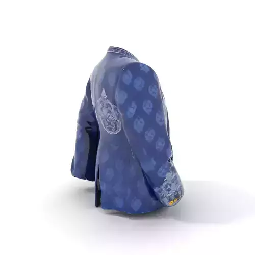 Royal Blue Embroidered Jacket model pack