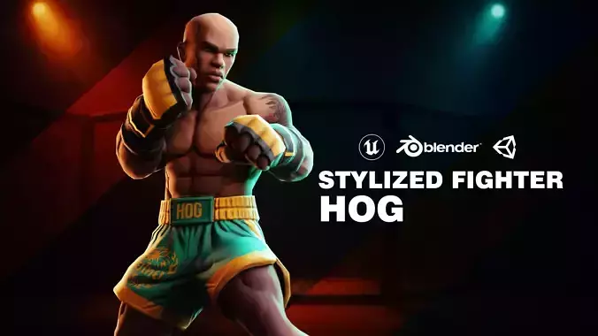 Stylized Fighter Character - HOG
